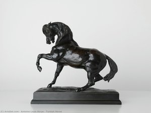 Turkish Horse — Antoine-louis Barye