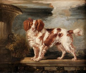 Portrét Dash, Oblíbeného Španěla Vlastněné Lady Frances Vane-tempestové — James Ward