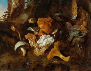 A Forest Floor Still Life With Mushrooms And A Snake — Otto Marseus Van Schrieck