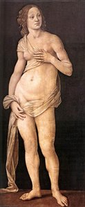 Venus — Lorenzo Di Credi