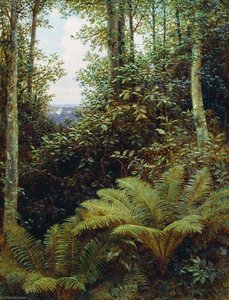 Ferns — Gavriil Kondratenko