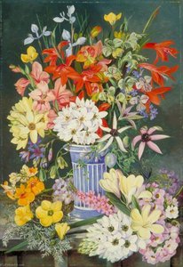 Old Dutch Vase And South African Flowers — Marianne North