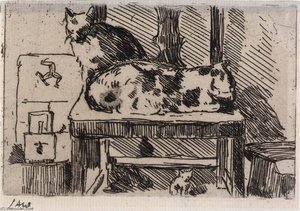 Manx Cats Isle Of Man — Julian Alden Weir