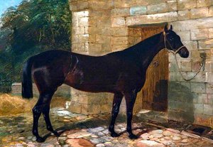 'mona' — John Duval