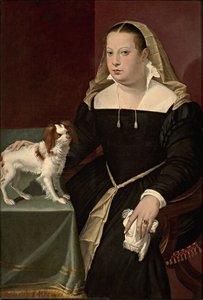 Portrait Of A Lady With A Dog — Bartolomeo Passarotti