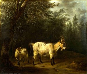 A Goat And A Kid — Adriaen Van De Velde