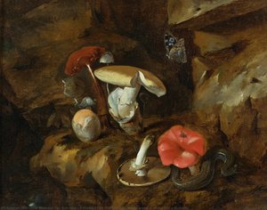 A Forest Floor Still Life With Mushrooms, A Snake And A Butterfly — Otto Marseus Van Schrieck
