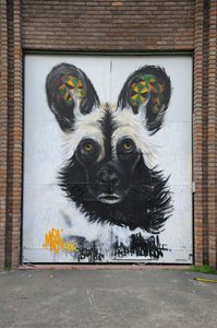 Mural By Masai