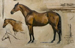 Study For 'southern Hero' — Sir Alfred James Munnings
