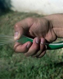 Ponle Agua A Las Plantas — William Camargo