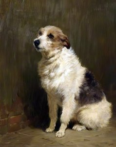 Portrait Of 'pilu', A Performing Dog — John Charlton