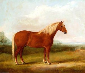 Fairhead Boxer 405 — William Henry Davis