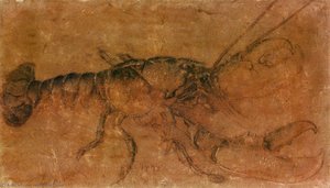 Untitled — Альбрехт Дюрер