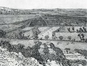 La Crau Ausblick Vom Montmajour — Vincent Willem Van Gogh