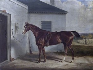 A Chestnut Hunter Saddled, Outside A Stable — William Webb