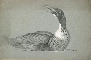 Duck Swimming — Jean-baptiste Oudry