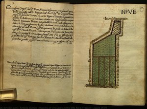 Registry Of Vineyards At The Villa Sora (frascati): Pages 19-20 — 안토니오 줄리아니