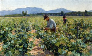 In The Vineyard — 엘린 다니엘손-감보기