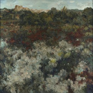 Altafulla And Chrysanthemums — Josep Sala Llorens