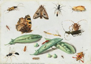 Peapods And Insects — Jan Van Kessel The Elder