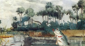 Black Bass, Florida — Winslow Homer