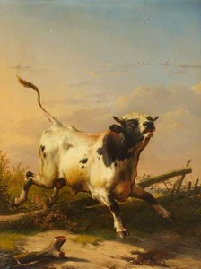 A Bull Leaping A Fence — Eugène Joseph Verboeckhoven
