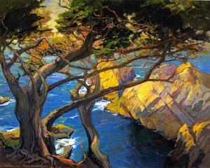 Cleft-born Trees, Monterey — Franz Bischoff