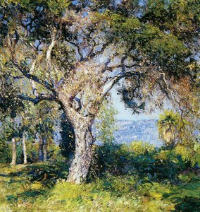 The Oak — Guy Orlando Rose