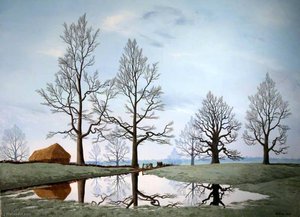 Flooded Meadow — Tristram Paul Hillier