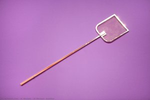 Ai Weiwei, Swatter — Ai Weiwei