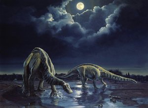 Apatosaurus — Kish, Eleanor M. (ely)