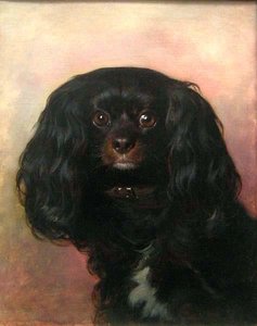 Portrait Of A Favorite Dog — Friedrich Ritter Von Amerling