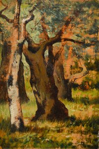 Sketch Of The Holm Oak — Giovanni Fattori