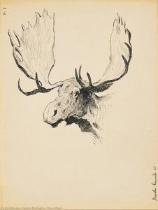 Testa Di Alce — Frederic Remington
