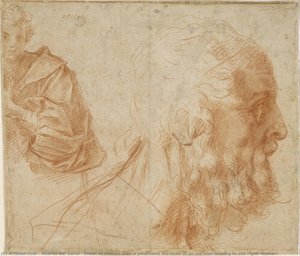 Foglio Di Studi Con Un Giovane E La Testa Di Un Vecchio Che Guarda Verso Destra (omero?) — Andrea Del Sarto