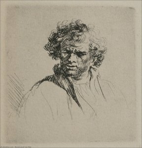 Un Bărbat Cu Păr Ondulat — Rembrandt Van Rijn