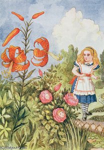 Tiger Lily — Sir John Tenniel