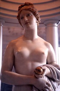 The 'tinted Venus' (detail) — John David Gibson