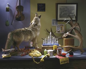 Canada Picture No. 3 (wolf) — Duglas Koplendas