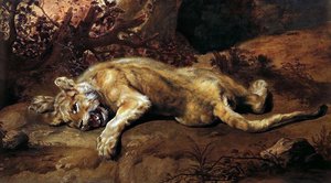 The Lioness — Frans Snyders