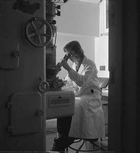 Miss H.b. Donald Of Melbourne, Australia, At The Siemeus Electron Microscope — Éric Schwab