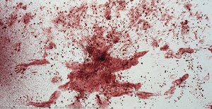 All Are The Colour Of My Heart — Imran Qureshi