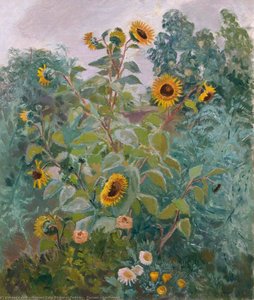 Sunflowers — Marjorie Tulip Ritchie Parsons