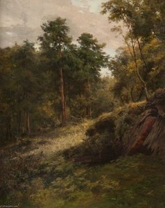 Between Brodick And Corrie, Arran — John Stewart