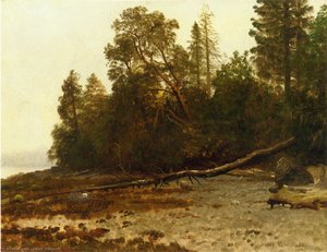 The Fallen Tree — Albert Bierstadt