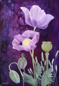 Purple Poppies — Michele Elizabeth Field