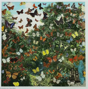 Appearance Of The Butterfly Man — ピーター・ブレイク