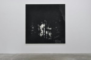 Walking In The Mountains-april (moonlit Night) — Honda Takeshi