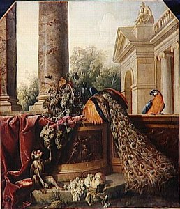 Nature Morte Au Paon — Alexandre François Desportes