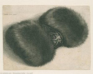 Fur Muff — Václav Hollar